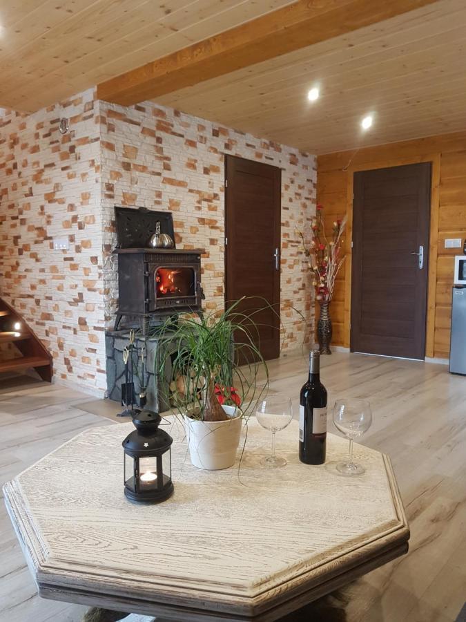 Gniewnik Villa Pcim Ngoại thất bức ảnh